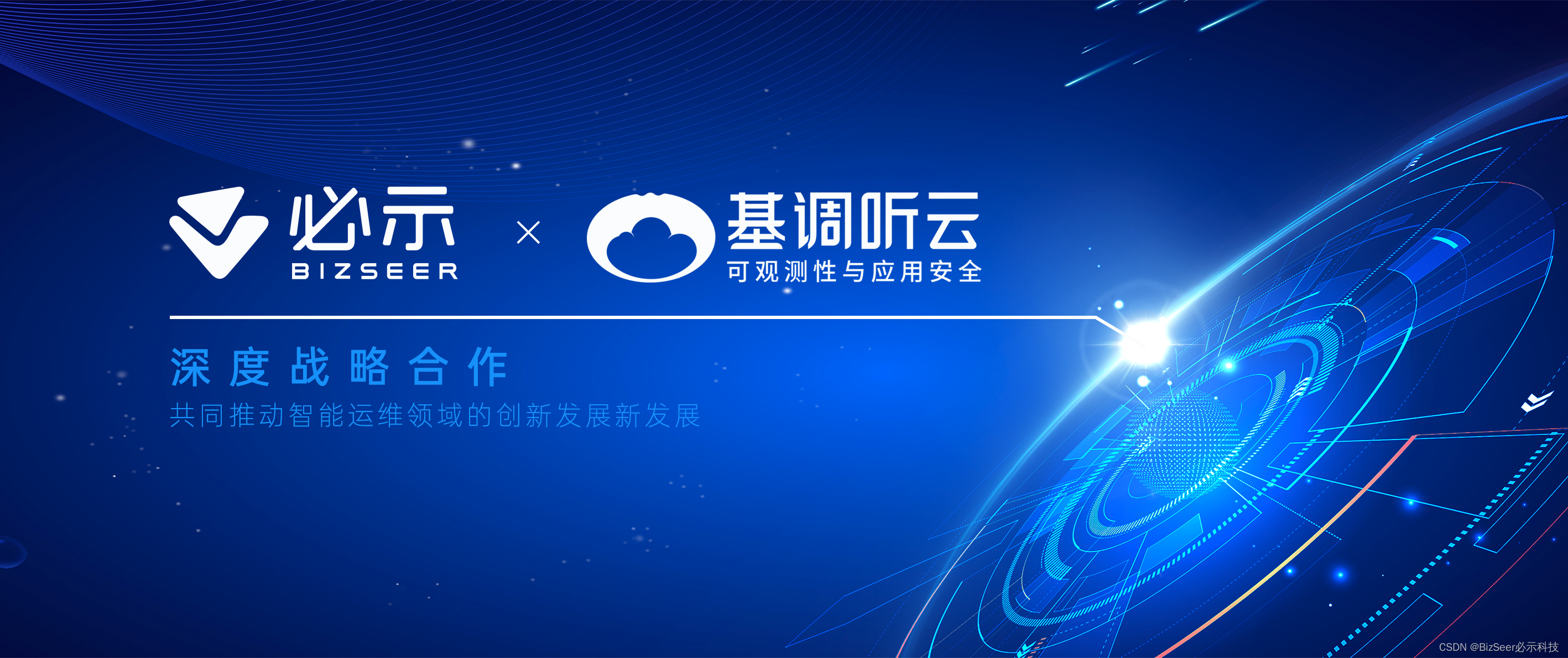 精准战略诊断，高效资本对接(什么是精准策略)-第2张图片-战略资本商业服务