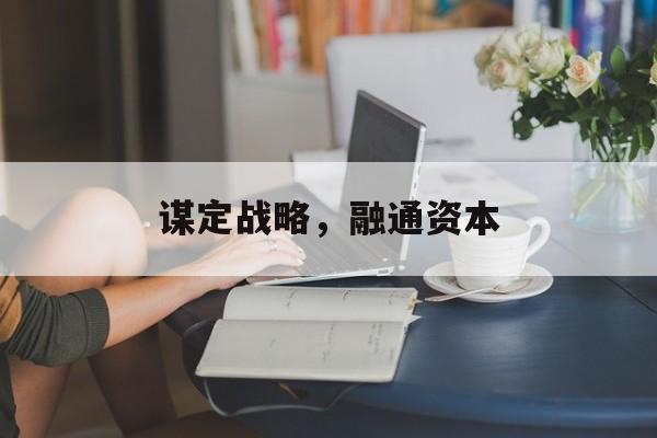 谋定战略，融通资本(三国谋定天下核心武将t0详细攻略)-第1张图片-战略资本商业服务